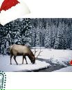 Фотография Dj-Andy Andrii