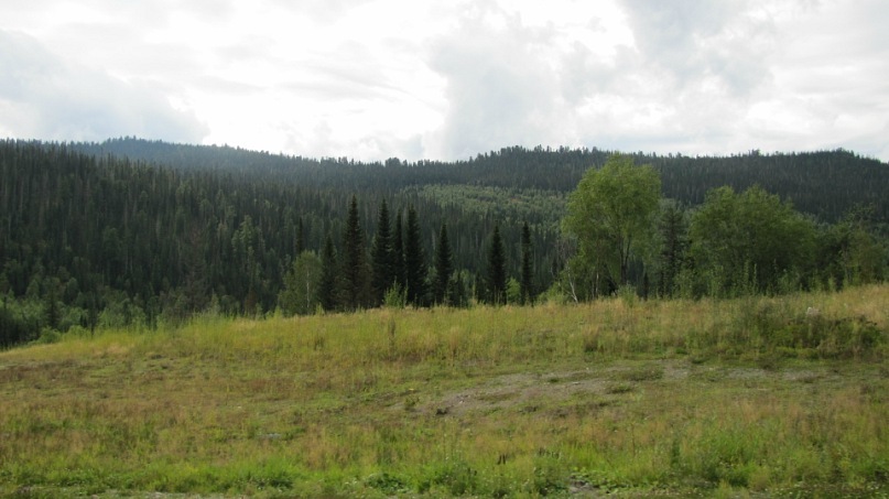 Игорь Скробан фотография #32