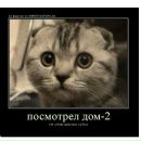 Вадік Шалівський фотография #15 (источник - https://vk.com/id161023912)