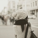 Свєта Люхнич фотография #14 (источник - https://vk.com/id133396579)