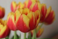 Наталія Ковач фотография #47 (источник - https://vk.com/id107345011)