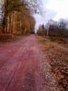 Іруся Сокольвяк фотография #43 (источник - https://vk.com/id137851189)