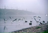 Фотография Ежова Алексея