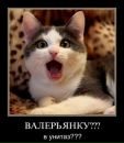 Фотография Шерко Ольги