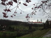 Элина Клеванцева фотография #37 (источник - https://vk.com/id2151113)