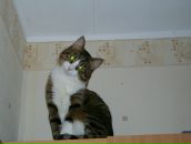 Фотография Якимовой Дианы