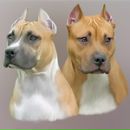 Фотография Кузьминой Екатерины