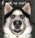 Фотография Александровича Андрея