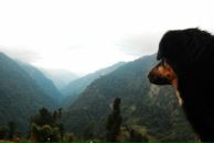 Фотография Левашовой Ирины