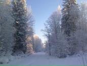 Фотография Алексеева Максима