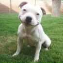 Фотография Бородейко Дарьи