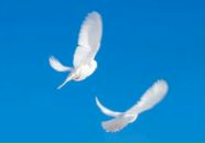 Фотография Назаровой Наталии