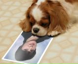 Надія Сердюк-Окрепка фотография #4 (источник - https://vk.com/id84811453)