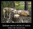 Таня Бігун фотография #29 (источник - https://vk.com/id69562567)