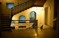 Yalcin Bayrak фотография #24 (источник - https://vk.com/id72548361)