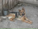 Роман Евсеев фотография #37 (источник - https://vk.com/id134378397)