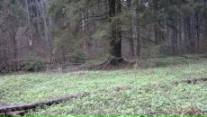 Рус Свірчевський фотография #14 (источник - https://vk.com/id50143246)