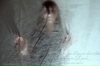 Фотография Донсковой Елены