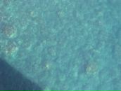 Юрій Боб'як фотография #22 (источник - https://vk.com/id98623996)