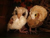 Фотография Черняевой Маришки