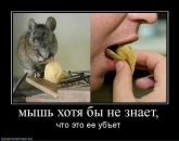 Юрій Яценко фотография #24 (источник - https://vk.com/id54146933)