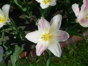 Фотография Т Жанны