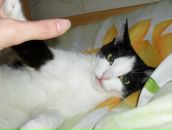 Фотография Андреевой Анастасии