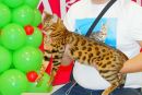 Фотография Тырина Максима
