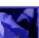 Наталі Котелянець фотография #18 (источник - https://vk.com/id77193697)