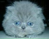 Фотография Смирновой Инны