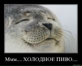 Фотография Иванова Дмитрия