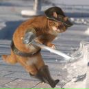 Фотография Рогожа Оля