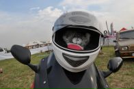 Фотография Kovsharov Dimon