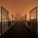 Фотография Недожогин Пётр