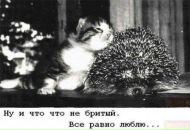 Фотография Игнатьевой Ирины