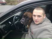 Ivan Pop фотография #4 (источник - https://vk.com/id142364471)