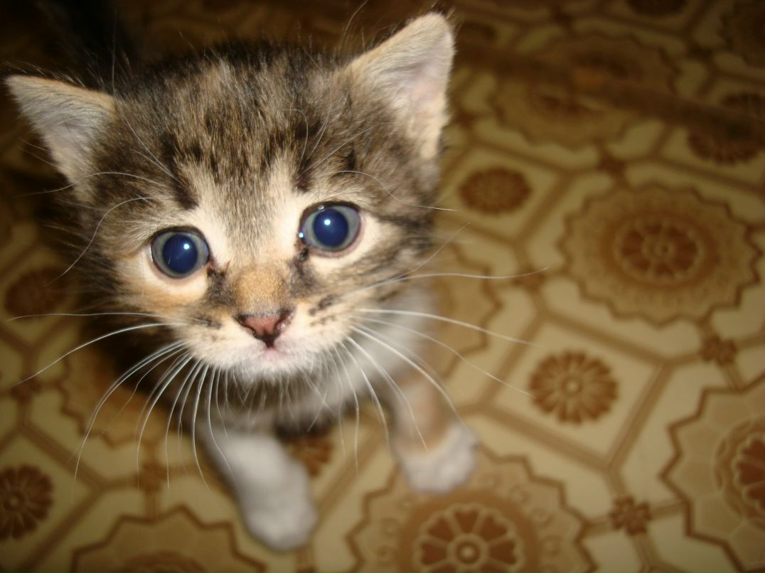 Дима Егоров фотография #50