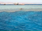 Віталій Кравчук фотография #39 (источник - https://vk.com/id11867526)