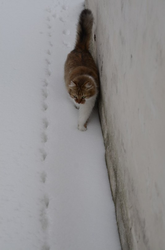 Иван Бойко фотография #33