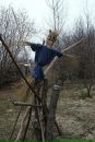 Анатолій Сивак фотография #31 (источник - https://vk.com/id92249938)
