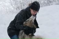 Фотография Новик Анны