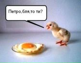 Святослав Воєвода фотография #41 (источник - https://vk.com/id67892635)