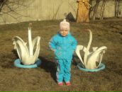 Фотография Аа Анюты