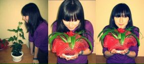 Фотография  