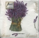 Фотография Койрах Аси