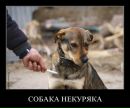 Андрій Носов фотография #38 (источник - https://vk.com/id6660638)