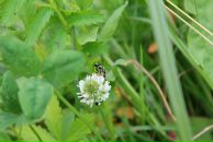 Андрій Світлицький фотография #14 (источник - https://vk.com/id2321783)