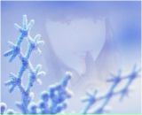 Фотография Комисаровой Екатерины