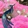 Діма Піпаш фотография #19 (источник - https://vk.com/id140091884)
