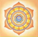 Фотография Чернова Максима